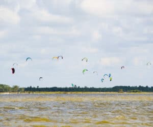 En gruppe farverige kitesurfing-drager på himlen over en vandmasse med fjerne træer og en overskyet himmel i baggrunden.