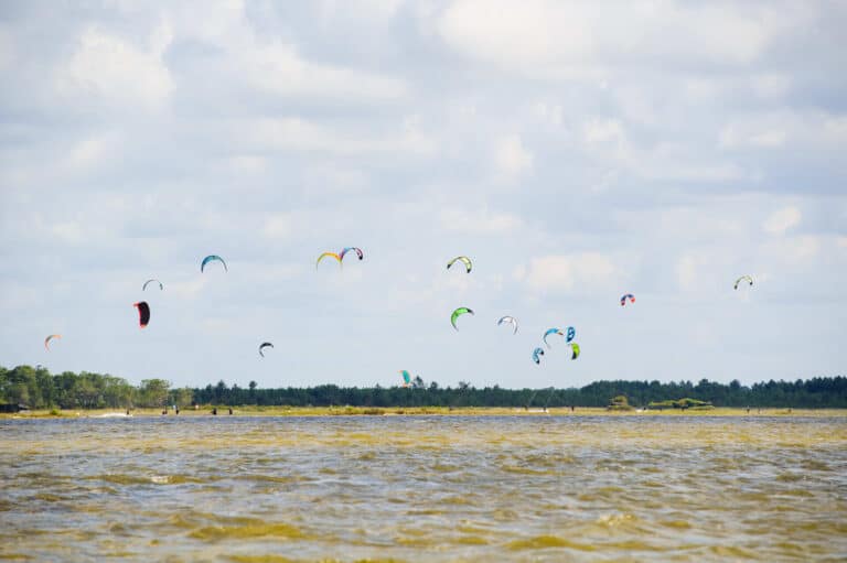 En gruppe farverige kitesurfing-drager på himlen over en vandmasse med fjerne træer og en overskyet himmel i baggrunden.