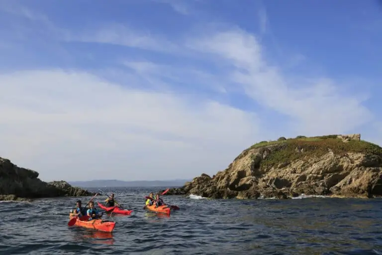 En gruppe kajakroere padler nær en klippeø under en klar blå himmel. Havet er roligt og skaber fredfyldte rammer for det udendørs eventyr.