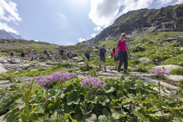 En gruppe mennesker, forfrisket af deres sportsferie, vandrer ned ad en stenet bjergsti omgivet af frodig grøn vegetation og livlige lilla vilde blomster. Himlen er blå med spredte skyer, og en tårnhøj tind rager majestætisk i baggrunden.