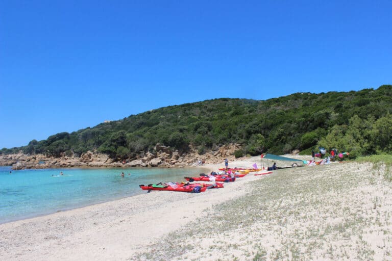 En naturskøn strand med hvidt sand og klart blåt vand. Flere røde kajakker er linet op på kysten. Folk svømmer i havet, og frodige grønne bakker giver en kulisse under en klar blå himmel.