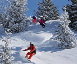 Tre mennesker snowboarder ned ad en sneklædt skråning omgivet af frostede stedsegrønne træer. Himlen er klar og blå. Hver snowboarder er iført farvestrålende vinterudstyr, hvilket skaber en levende kontrast mod den hvide sne.